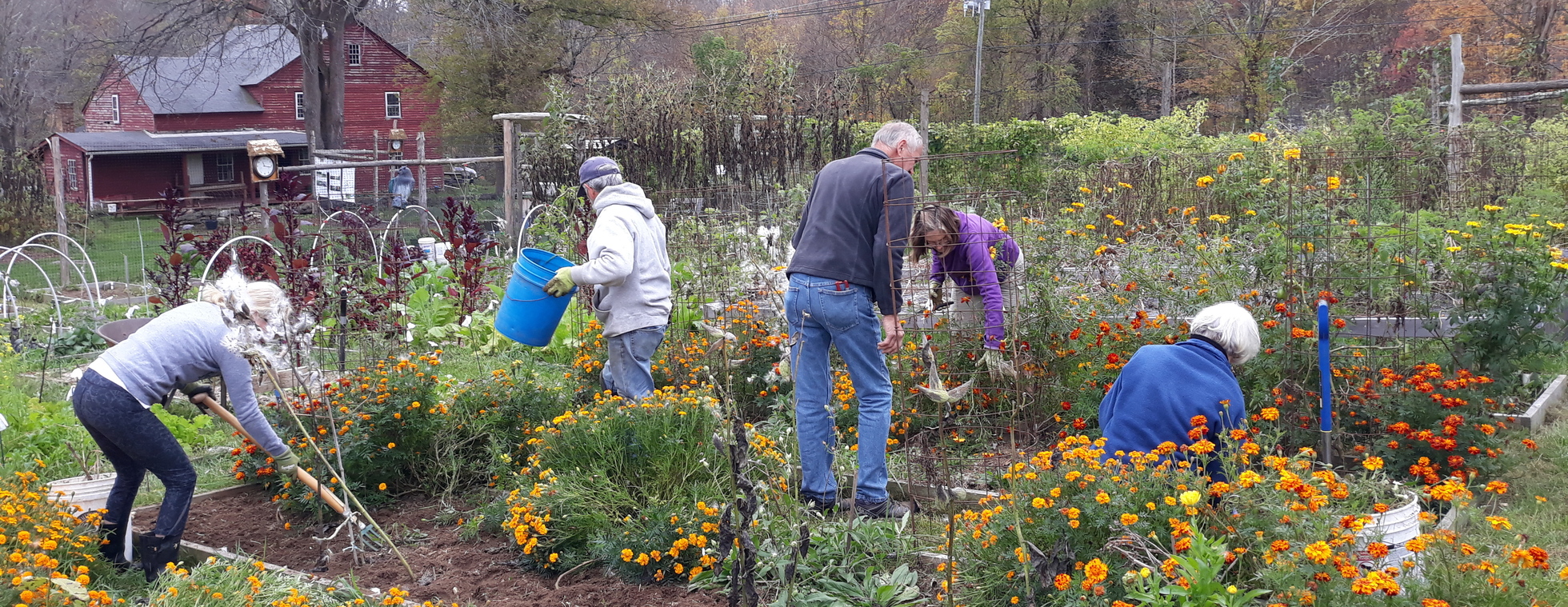 Judea Garden Fall Clean Up - Sunday